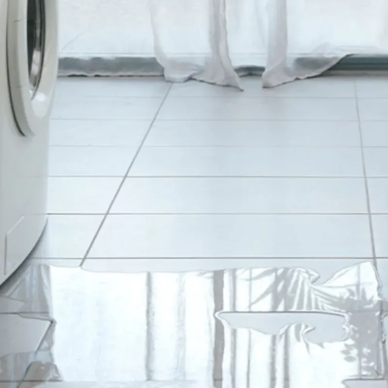 Appliance Leak Cleanup in Crawfordville, FL