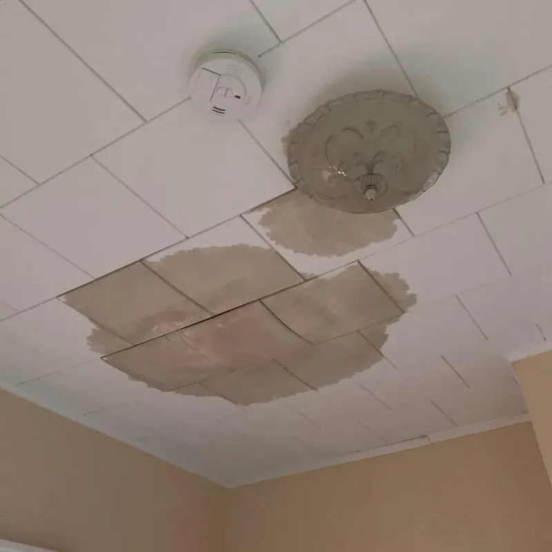 Ceiling Water Damage Repair in Crawfordville, FL